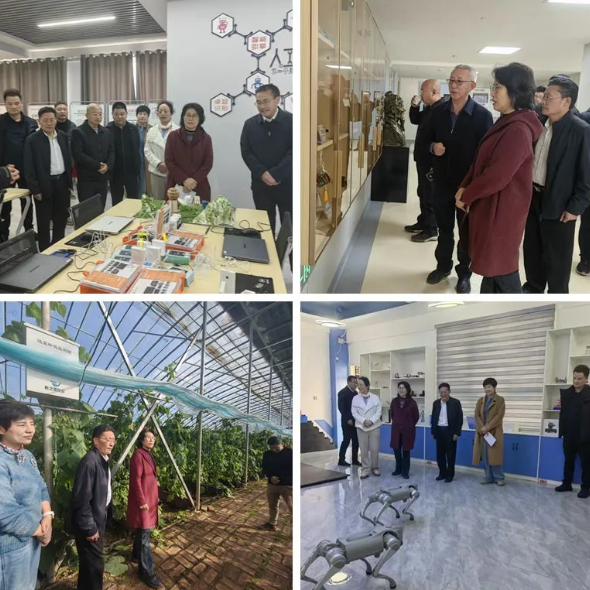 微信图片_20251211100005_877_60